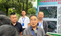 贵州中药材产业发展推动大会在安顺关岭举行